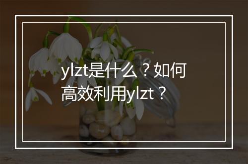 ylzt是什么？如何高效利用ylzt？
