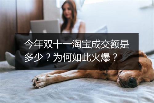 今年双十一淘宝成交额是多少？为何如此火爆？