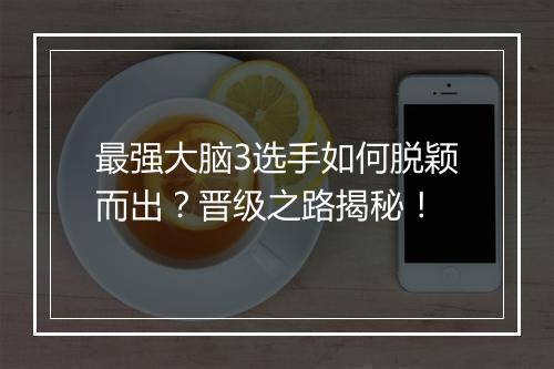 最强大脑3选手如何脱颖而出？晋级之路揭秘！