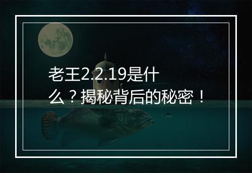 老王2.2.19是什么？揭秘背后的秘密！