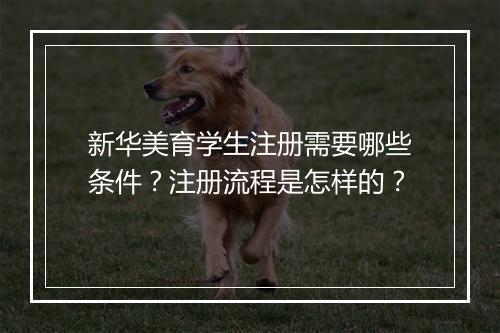 新华美育学生注册需要哪些条件？注册流程是怎样的？