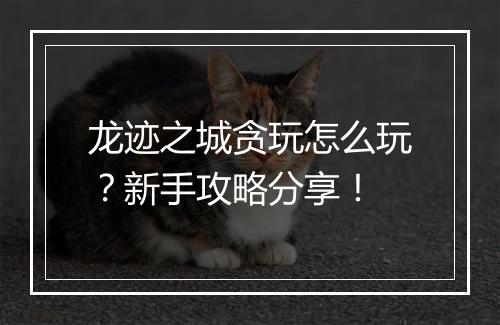 龙迹之城贪玩怎么玩？新手攻略分享！