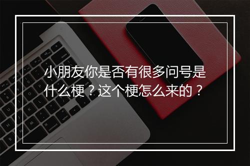 小朋友你是否有很多问号是什么梗？这个梗怎么来的？