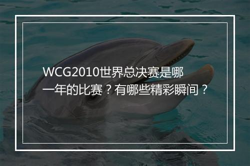 WCG2010世界总决赛是哪一年的比赛？有哪些精彩瞬间？