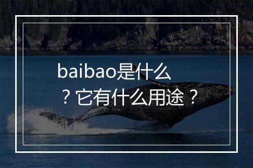 baibao是什么？它有什么用途？