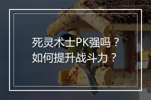 死灵术士PK强吗？如何提升战斗力？