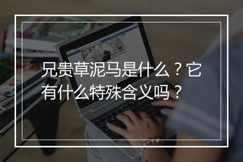 兄贵草泥马是什么？它有什么特殊含义吗？