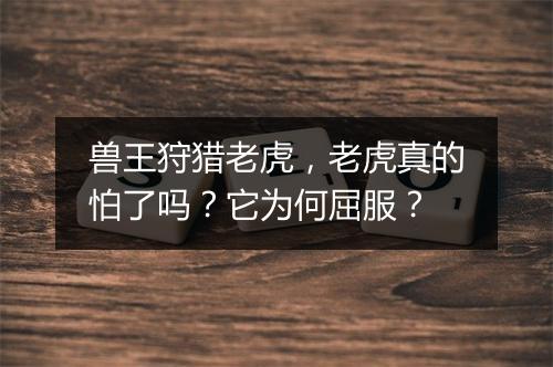 兽王狩猎老虎，老虎真的怕了吗？它为何屈服？