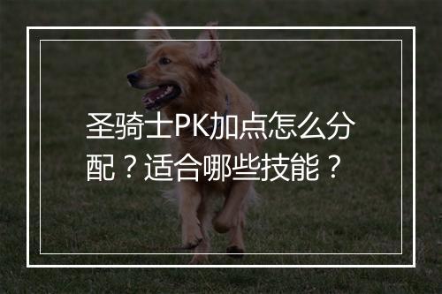 圣骑士PK加点怎么分配？适合哪些技能？