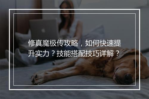 修真魔极传攻略，如何快速提升实力？技能搭配技巧详解？