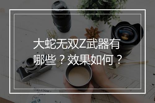 大蛇无双Z武器有哪些？效果如何？