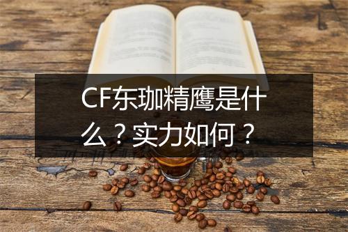 CF东珈精鹰是什么？实力如何？