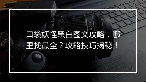 口袋妖怪黑白图文攻略，哪里找最全？攻略技巧揭秘！