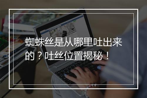 蜘蛛丝是从哪里吐出来的？吐丝位置揭秘！