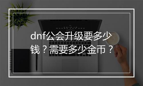 dnf公会升级要多少钱？需要多少金币？