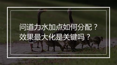 问道力水加点如何分配？效果最大化是关键吗？