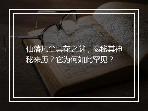 仙落凡尘昙花之谜，揭秘其神秘来历？它为何如此罕见？