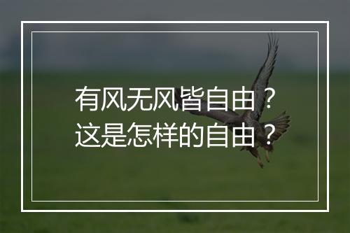 有风无风皆自由？这是怎样的自由？