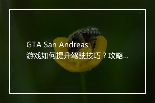 GTA San Andreas游戏如何提升驾驶技巧？攻略分享！