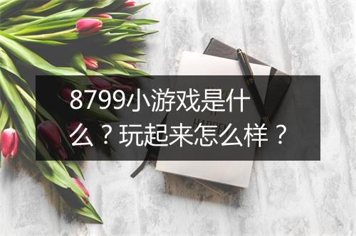 8799小游戏是什么？玩起来怎么样？