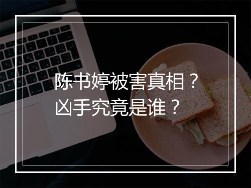 陈书婷被害真相？凶手究竟是谁？