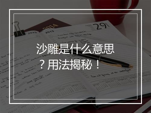 沙雕是什么意思？用法揭秘！