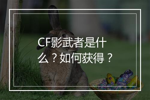 CF影武者是什么？如何获得？