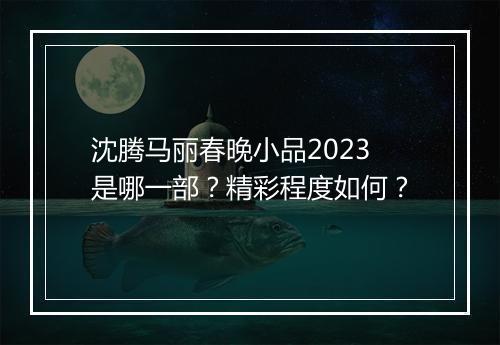 沈腾马丽春晚小品2023是哪一部？精彩程度如何？