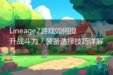 Lineage2游戏如何提升战斗力？装备选择技巧详解