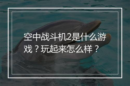 空中战斗机2是什么游戏？玩起来怎么样？