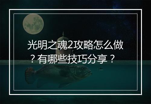 光明之魂2攻略怎么做？有哪些技巧分享？