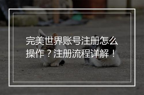 完美世界账号注册怎么操作？注册流程详解！