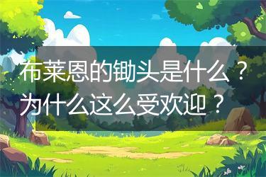 布莱恩的锄头是什么？为什么这么受欢迎？
