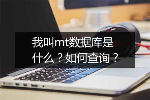 我叫mt数据库是什么？如何查询？