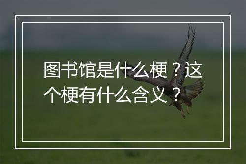 图书馆是什么梗？这个梗有什么含义？