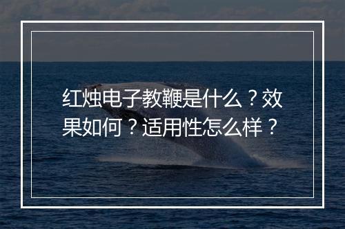 红烛电子教鞭是什么？效果如何？适用性怎么样？