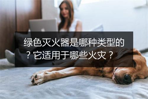 绿色灭火器是哪种类型的？它适用于哪些火灾？