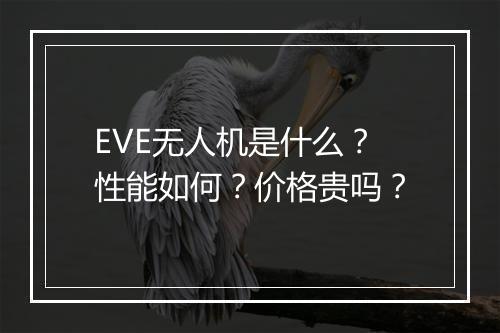 EVE无人机是什么？性能如何？价格贵吗？