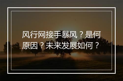 风行网接手暴风？是何原因？未来发展如何？