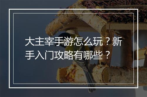 大主宰手游怎么玩？新手入门攻略有哪些？
