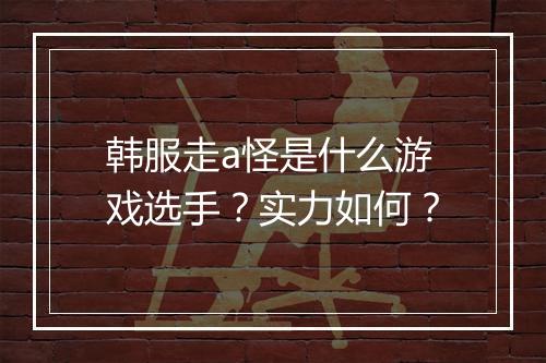 韩服走a怪是什么游戏选手？实力如何？