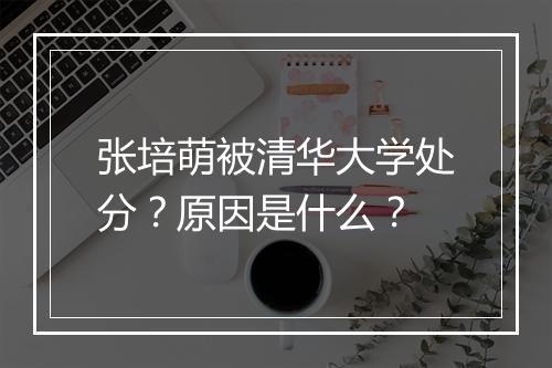张培萌被清华大学处分？原因是什么？