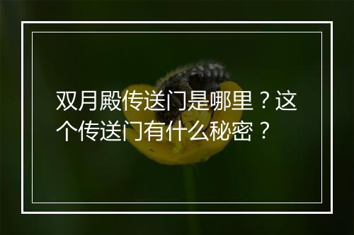 双月殿传送门是哪里？这个传送门有什么秘密？