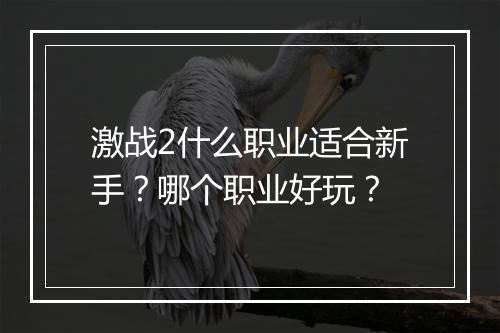激战2什么职业适合新手？哪个职业好玩？