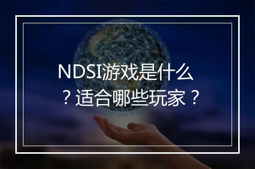 NDSI游戏是什么？适合哪些玩家？