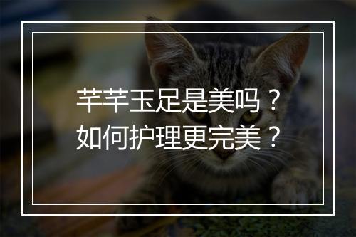 芊芊玉足是美吗？如何护理更完美？