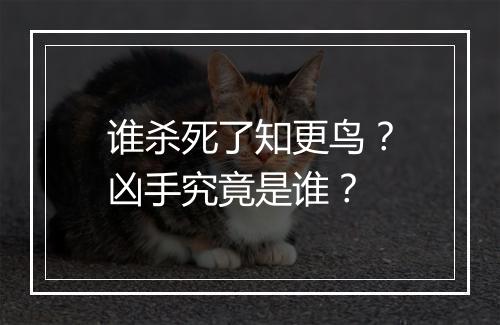 谁杀死了知更鸟？凶手究竟是谁？