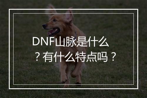 DNF山脉是什么？有什么特点吗？