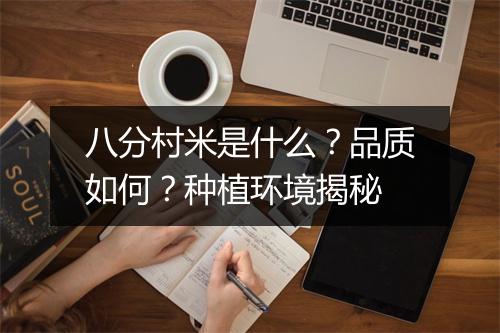 八分村米是什么？品质如何？种植环境揭秘