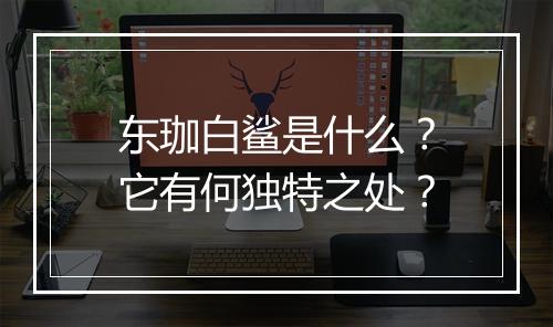 东珈白鲨是什么？它有何独特之处？